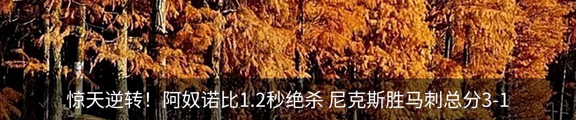 新闻动态